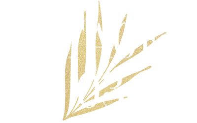 64070f-27ae-d71a-4a-7254f57a480_stage_3