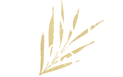 8fffd6-73dc-a13e-747-d422873b716_stage_5