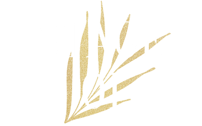 a1ebb56-3a1-b65c-34b-1a580d8e8dd_stage_1